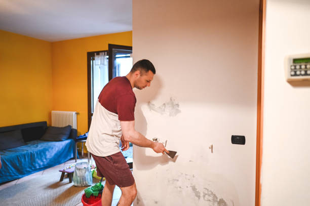 Best Residential Mold Removal  in Kittredge, CO